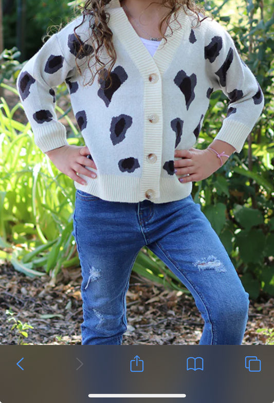Cheetah Print Cardigan